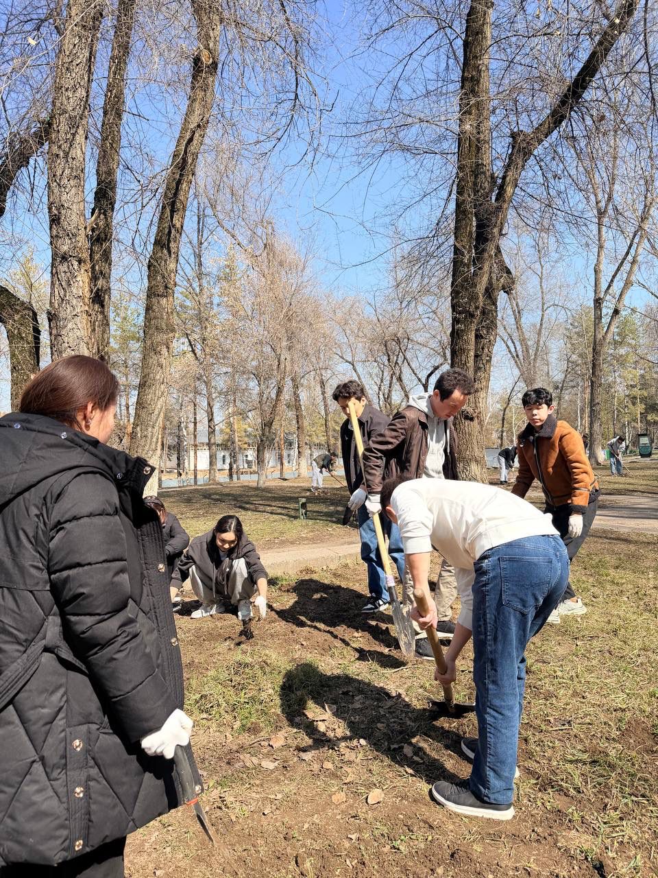 ТДМ 15 аясында ҚазҰУ аумағында ағаш отырғызу және көгалдандыру жұмыстары жүргізілді
